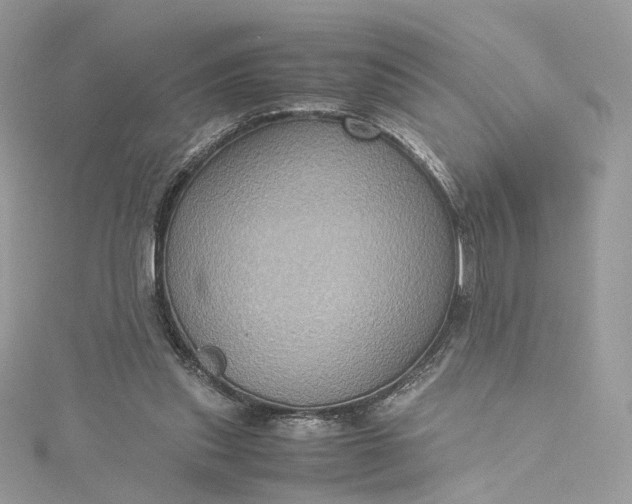 X0000115390253200911171502