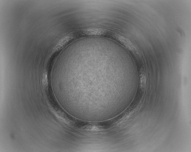 X0000115390254200911171502