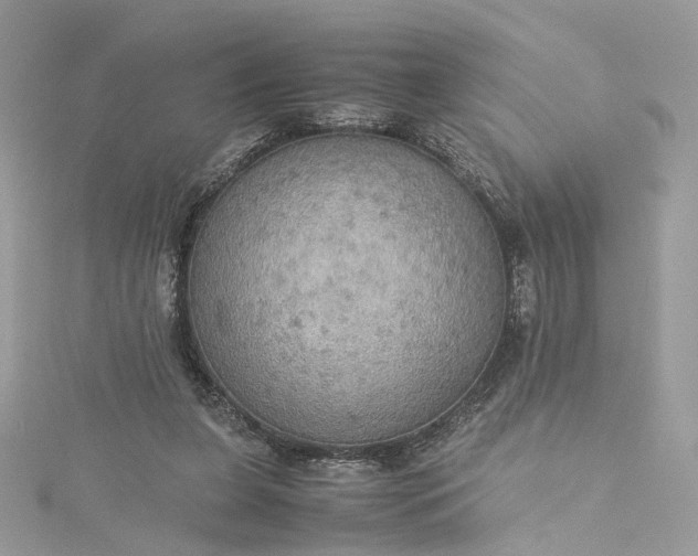 X0000115390255200911171502