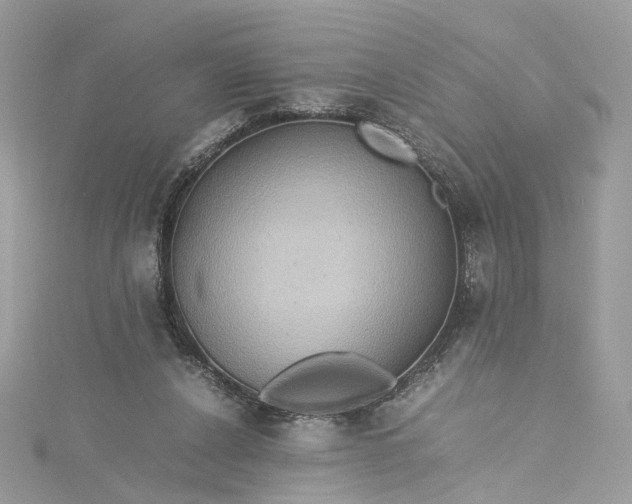 X0000115390256200911171502