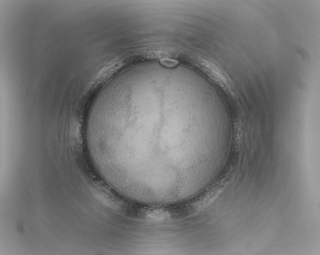 X0000115390258200911171502