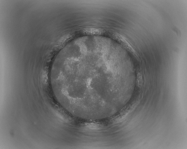 X0000115390259200911171502