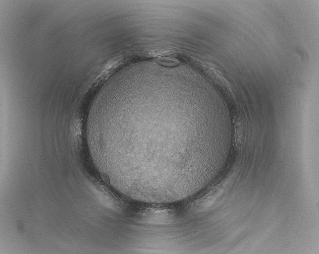 X0000115390260200911171502