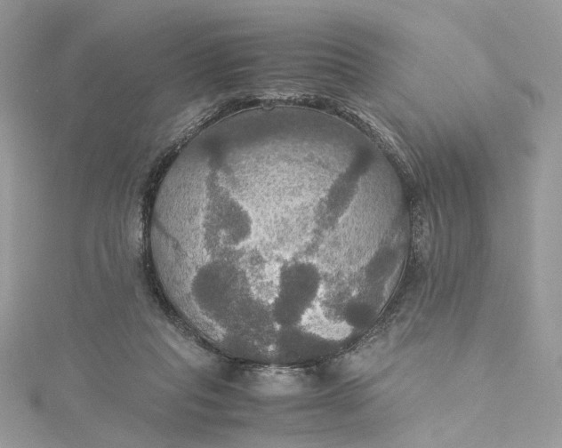 X0000115390261200911171502