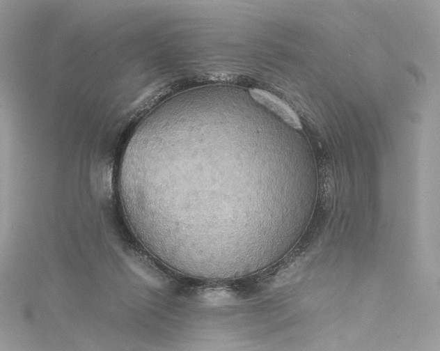 X0000115390262200911171502