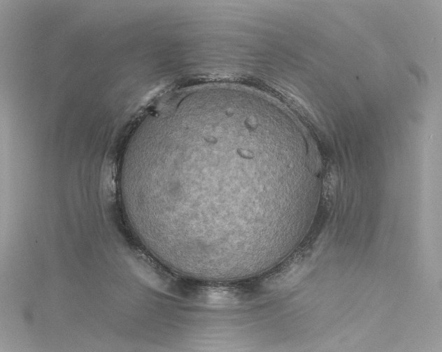 X0000115390264200911171502