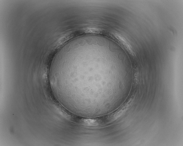 X0000115390265200911171502