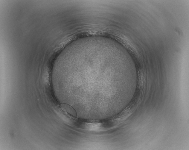 X0000115390266200911171502