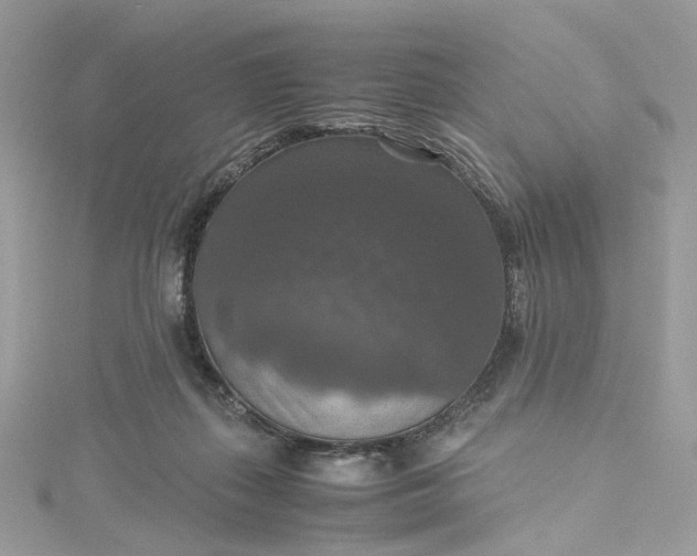 X0000115390267200911171502