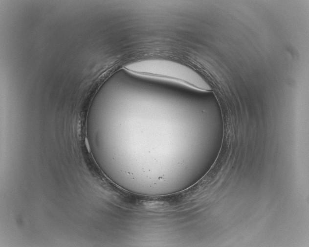 X0000115390268200911171502