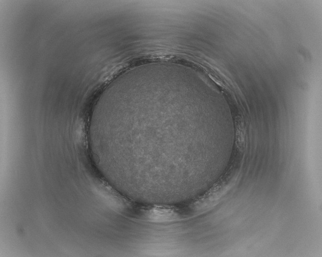 X0000115390270200911171502