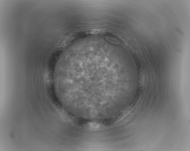 X0000115390272200911171502