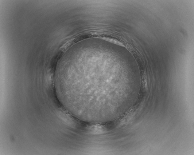 X0000115390276200911171502