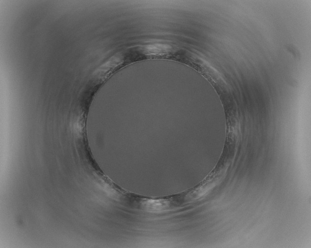 X0000115390277200911171502