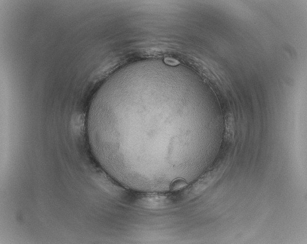 X0000115390278200911171502