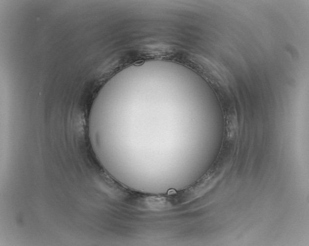 X0000115390279200911171502