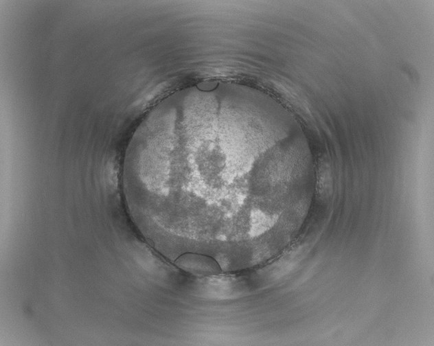 X0000115390282200911171503