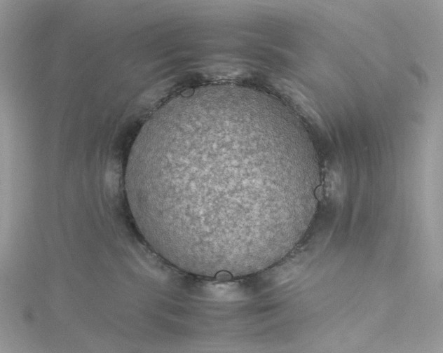 X0000115390283200911171503