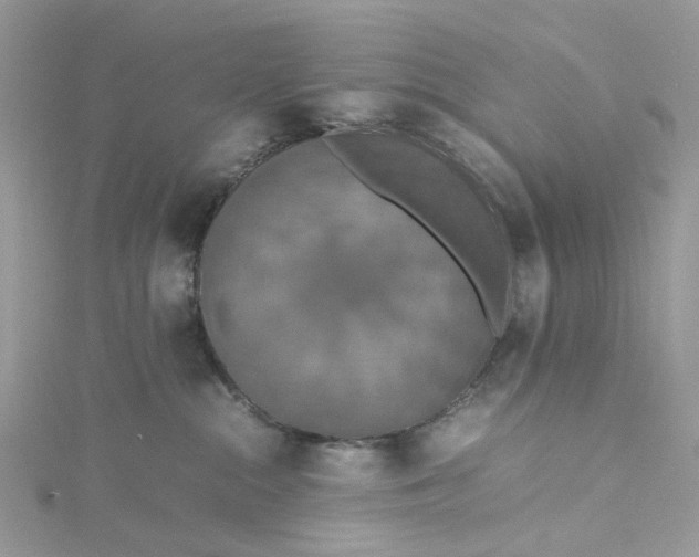 X0000115390284200911171503