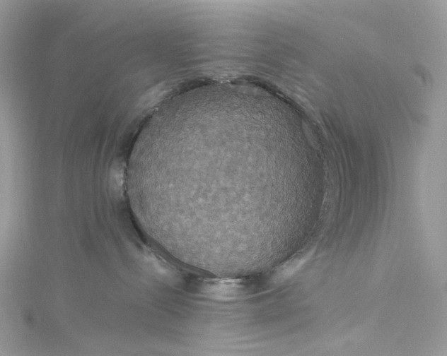 X0000115390288200911171503