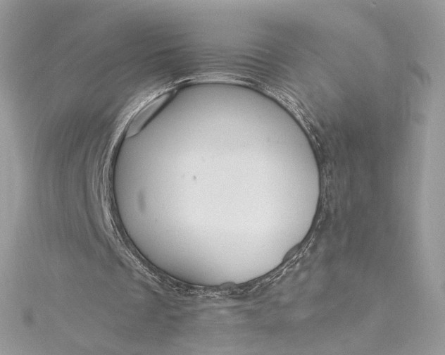 X0000115390289200911171502