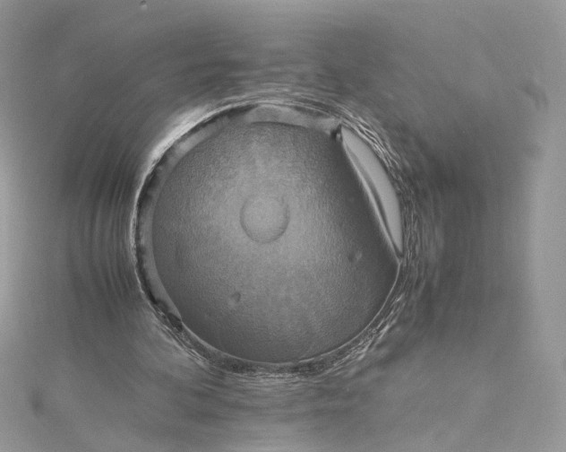 X0000115390292200911171502