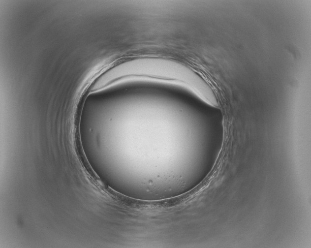 X0000115390293200911171502