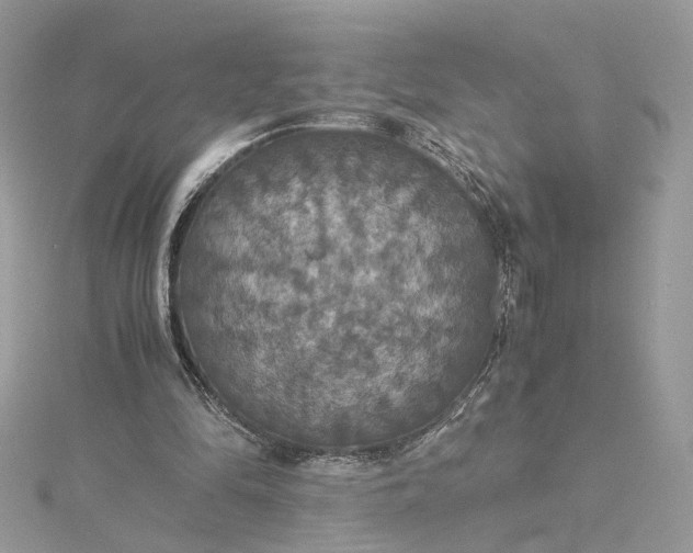 X0000115390294200911171502