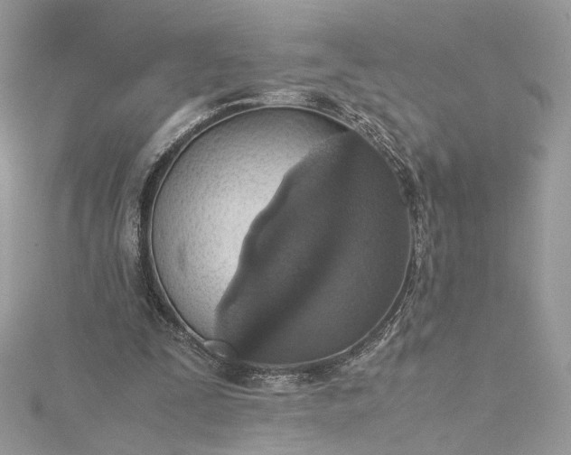 X0000115390295200911171502