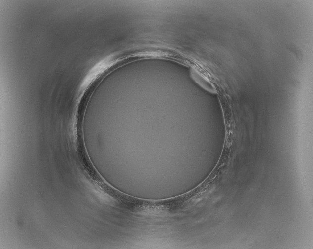 X0000115390296200911171502