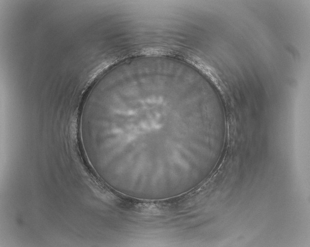 X0000115390297200911171502