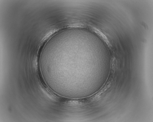 X0000115390298200911171502