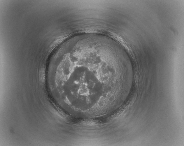 X0000115390299200911171502