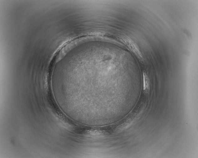 X0000115390300200911171502