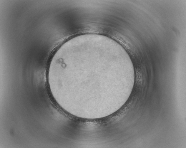 X0000115390302200911171502