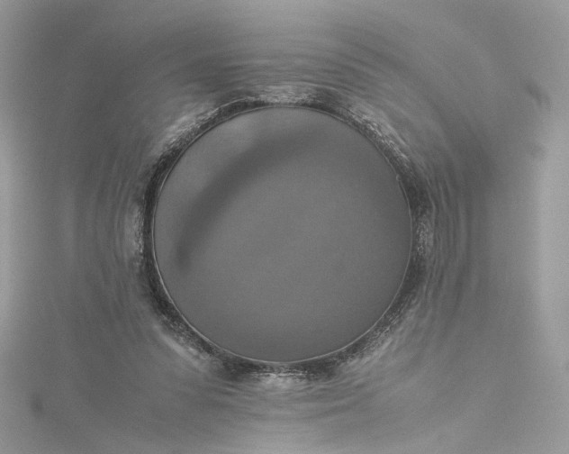 X0000115390303200911171502