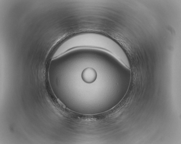 X0000115390304200911171502