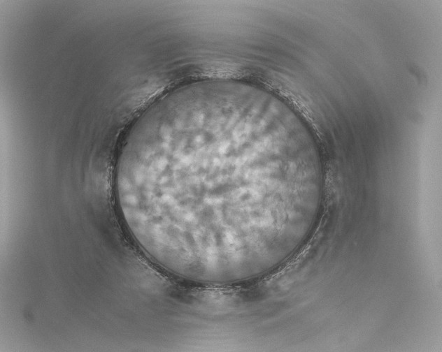 X0000115390305200911171502