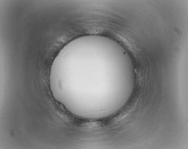 X0000115390307200911171502