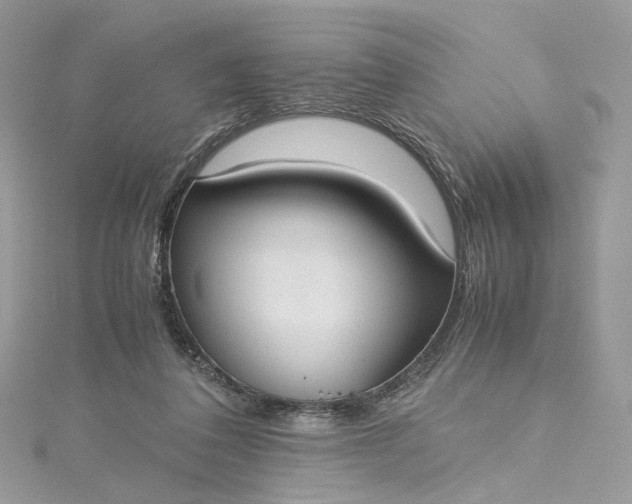 X0000115390308200911171502