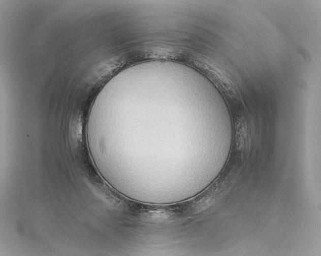 X0000115390310200911171502