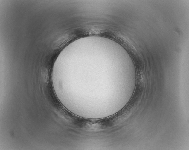 X0000115390311200911171502