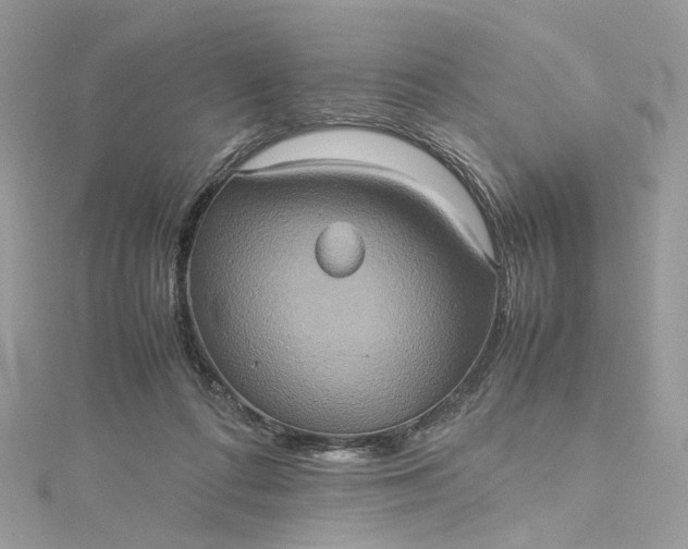 X0000115390312200911171502