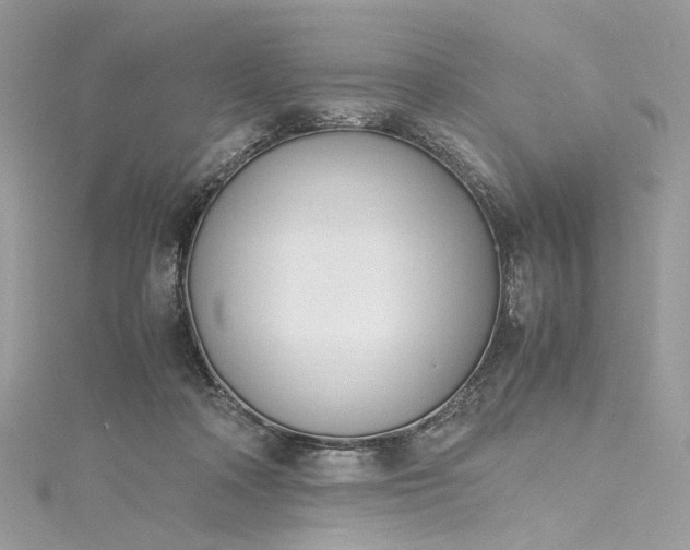 X0000115390314200911171502