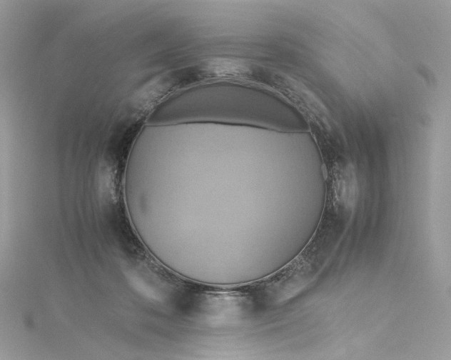 X0000115390316200911171502