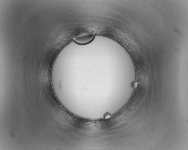 X0000115390317200911171502