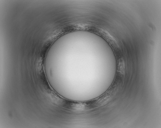 X0000115390318200911171502