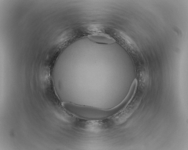 X0000115390320200911171502