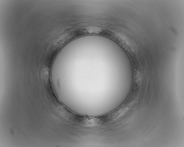 X0000115390321200911171502