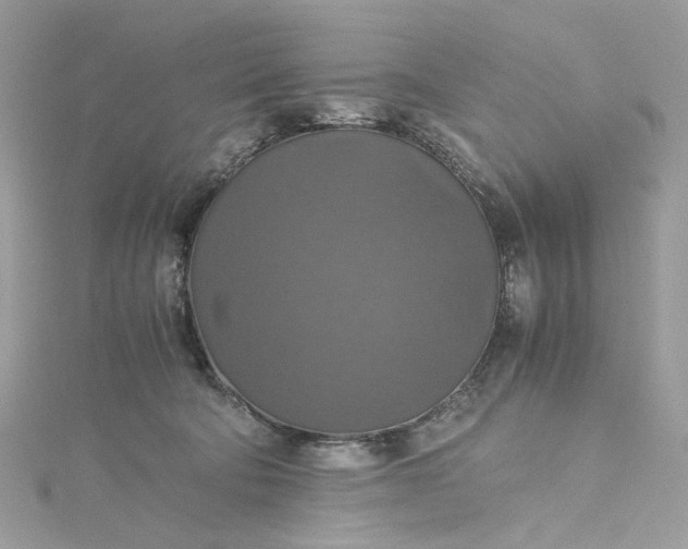 X0000115390322200911171502